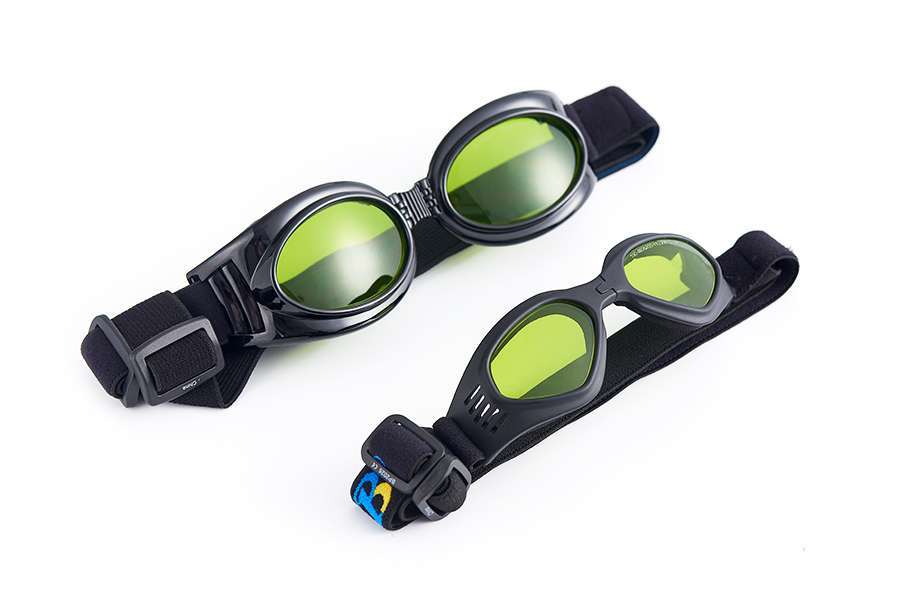 Dimed Safety Goggles for Animals