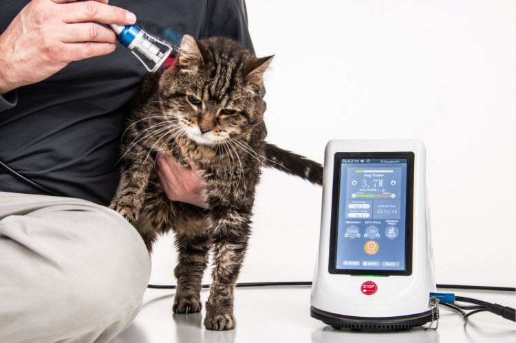 animal laser therapy machine animal laser therapy machine
