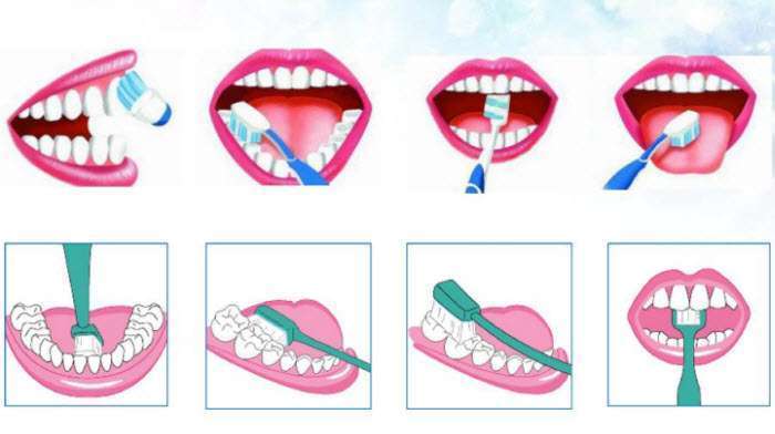 correct brushing method correct brushing method
