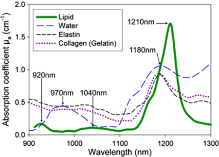 Absorption Coefficient and Laser Wavelength