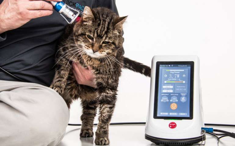 Veterinary Laser